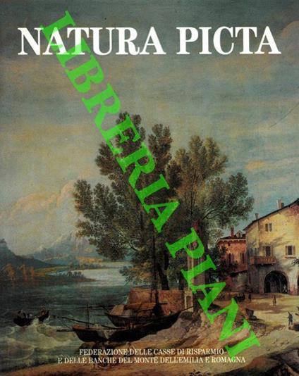 Natura picta. Paesaggio e immagini dell’Emilia Romagna nelle arti figurative, nella fotografia, nel cinema - Giuseppe Adani - copertina