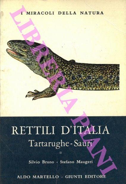 Rettili d'Italia. Tartarughe e sauri. Vol. 1 - Silvio Bruno - copertina