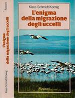 L' enigma della migrazione degli uccelli