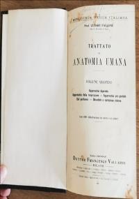 Trattato di anatomia umana volume secondo - Cesare Falcone - copertina