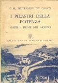 I pilastri della potenza - Materie prime nel mondo di G.M. Beltrammi De’ Casati - copertina