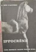 Ippocrène di Izzo D&rsquoAccini - copertina