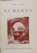 Numerus - Emidio Panichi - copertina