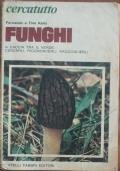 Funghi - Fernando Raris - copertina