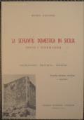 La schiavitù domestica in Sicilia dopo i Normanni - Matteo Gaudioso - copertina