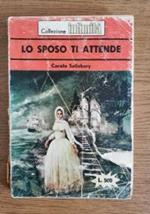 Lo sposo ti attende di Carola Slisbury