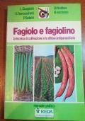 Fagiolo e fagiolino - copertina