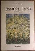 Davanti al sasso - Enrico Messori - copertina