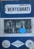 I vertebrati (INTONSO) di Armando Guelfi - copertina