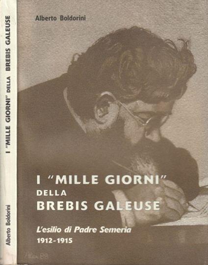 I Mille giorni della Brebis Galeuse - Alberto Boldorini - copertina