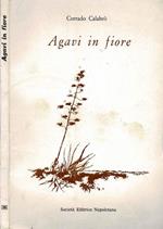 Agavi in fiore