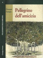 Pellegrino dell'amicizia