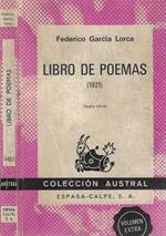 Libro de poemas