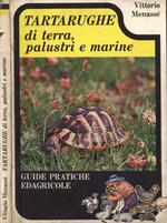 Tartarughe di terra, palustri e marine