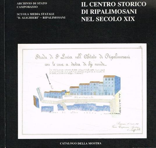 Il centro storico di Ripalimosani nel secolo XIX. Aspetti socio