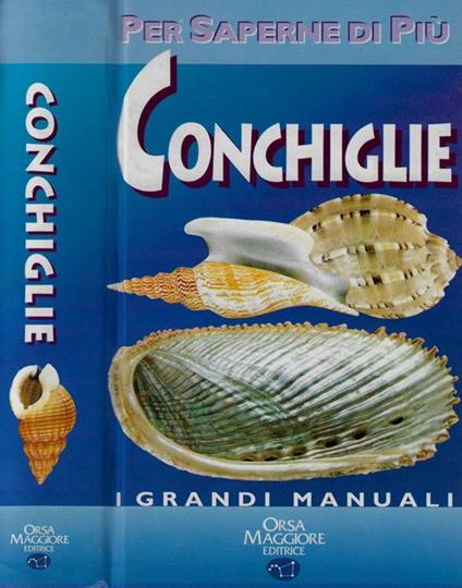 Conchiglie - Bruno Sabelli - copertina