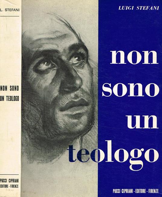 Non sono un teologo - Luigi Stefani - copertina