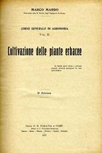 Coltivazione delle Piante Erbacee