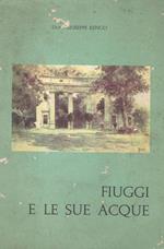 Fiuggi e le sue acque