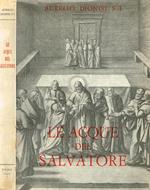 Le acque del salvatore