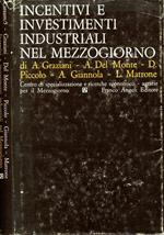 Incentivi e Investimenti Industriali nel Mezzogiorno