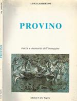 Provino. Tracce e memoria dell' immagine