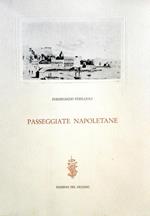 Passeggiate Napoletane