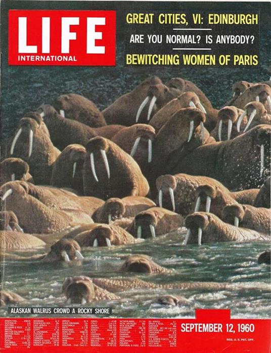 Life. International Edition - copertina