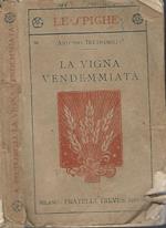 La Vigna Vendemmiata