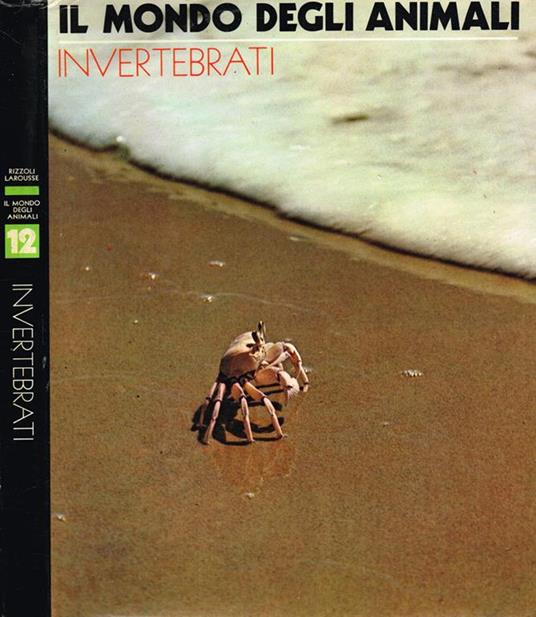 Invertebrati Vol.Xii - Angelo Solmi - copertina