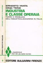 Industria e classe operaia. Tappe e problemi dell'industrializzazione in Italia