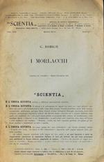 I Morlacchi