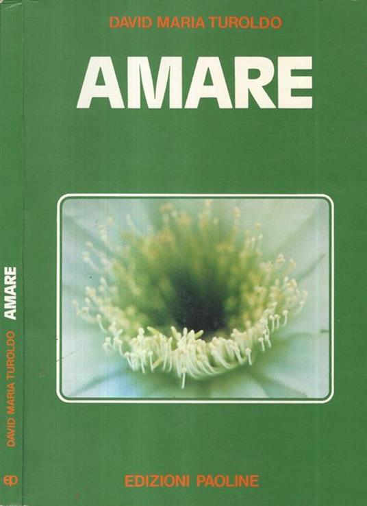 Amare - David Maria Turoldo - copertina