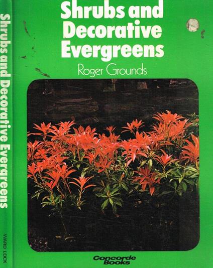 Shrubs and decorative evergreens - Roger Grounds - copertina