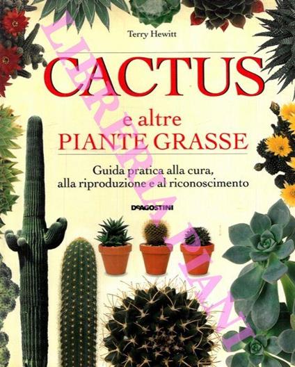 Catus e altre piante grasse. Guida pratica alla cura, alla riproduzione e al riconoscimento - Terry Hewitt - copertina