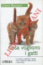 Cosa vogliono i gatti