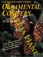 Ornamental Conifers