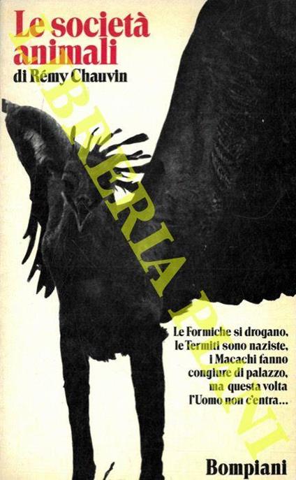 Le società animali. Dall'ape al gorilla - Remy Chauvin - copertina