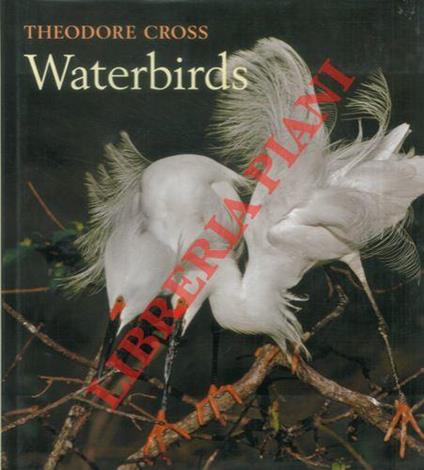 Waterbirds - Theodore Cross - copertina