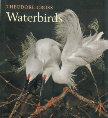 Waterbirds - Theodore Cross - copertina