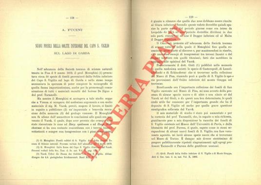 Nuovi fossili della Oolite inferiore del Capo S. Vigilio sul Lago di Garda - Alberto Fucini - copertina