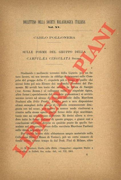 Sulle forme del gruppo della Campylaea cingulata Studer - Carlo Pollonera - copertina