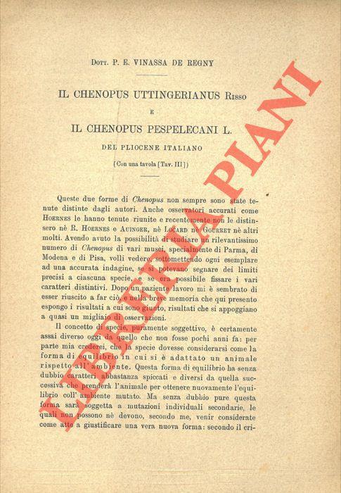 Il Chenopus uttingerianus Risso e il Chenopus pespelecani L. del pliocene italiano - copertina