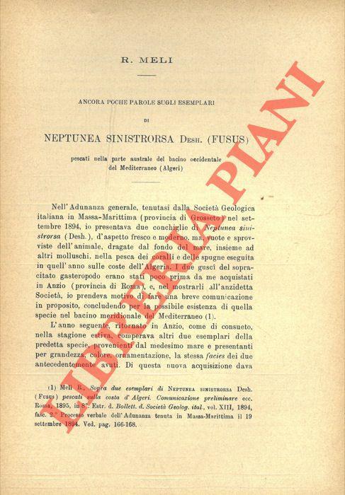 Ancora alcune parole sugli esemplari di Neptunea sinistrorsa Desh. (Fusus) pescati nella parte australe del bacino occidentale del Mediterraneo (Algeri) - R. Meli - copertina