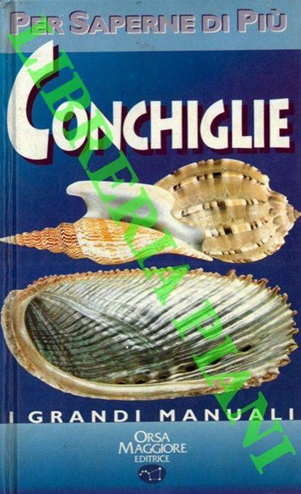 Conchiglie - Bruno Sabelli - copertina