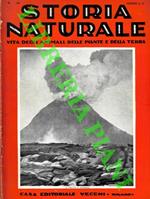 Storia naturale. Vita degli animali, delle piante e della terra. Volume IV. Geologia