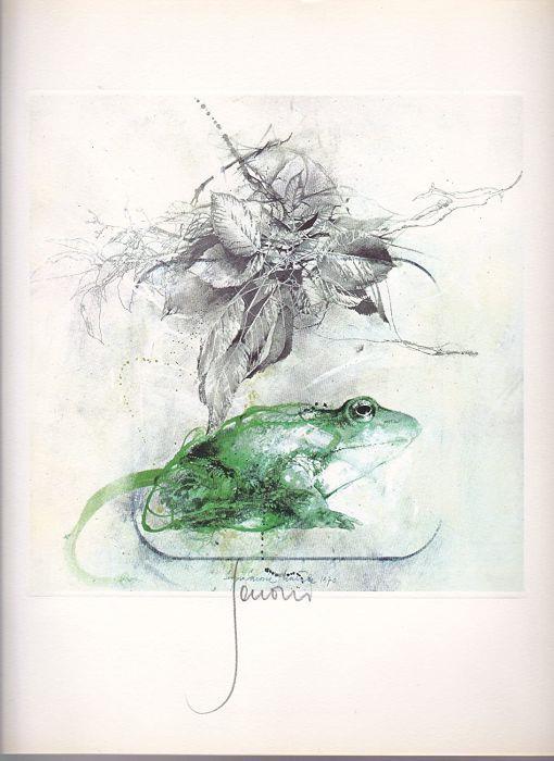 Il Principe Ranocchio. Riproduzione Litografica - Sergio Saroni - copertina