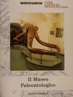 Montevarchi. IL MUSEO PALEONTOLOGICO