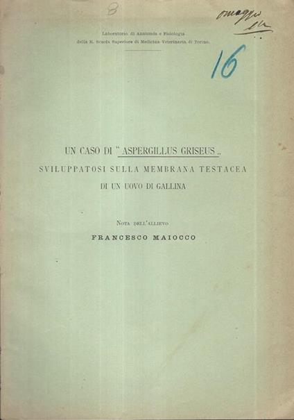 Un caso di "Aspergillus Griseus" sviluppatosi sulla membrana testacea di un uovo di gallina - Francesco Maiocco - copertina