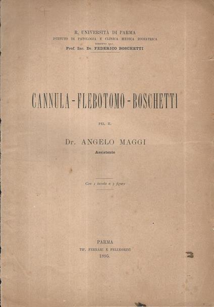 Cannula - Flebotomo - Boschetti - Angelo Maggi - copertina